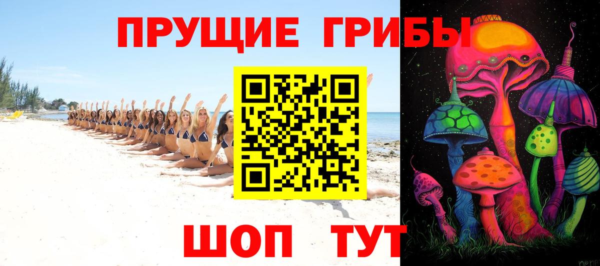 Псилоцибиновые грибы Psilocybine cubensis  Вход с VPN  Камень-на-Оби 
